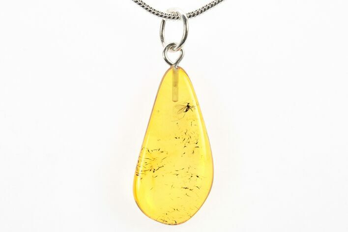 Polished Baltic Amber Pendant (Necklace) - Contains Fly! #275898